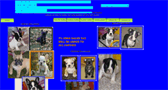 Desktop Screenshot of freedompup.com